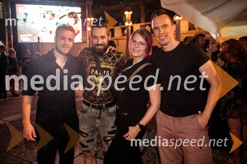 Koncert filmske glasbe Gospodarja prstanov in Hobita, 71. Ljubljana Festival