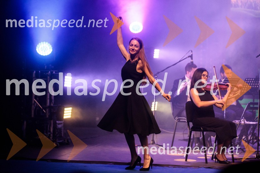 Koncert filmske glasbe Gospodarja prstanov in Hobita, 71. Ljubljana Festival