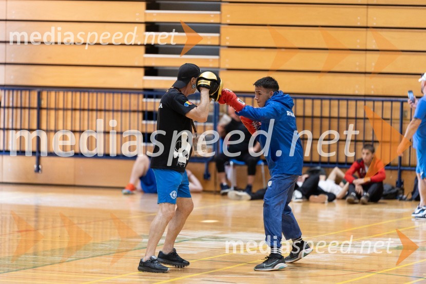 20. Evropsko prvenstvo v boksu za mlajše, sobota