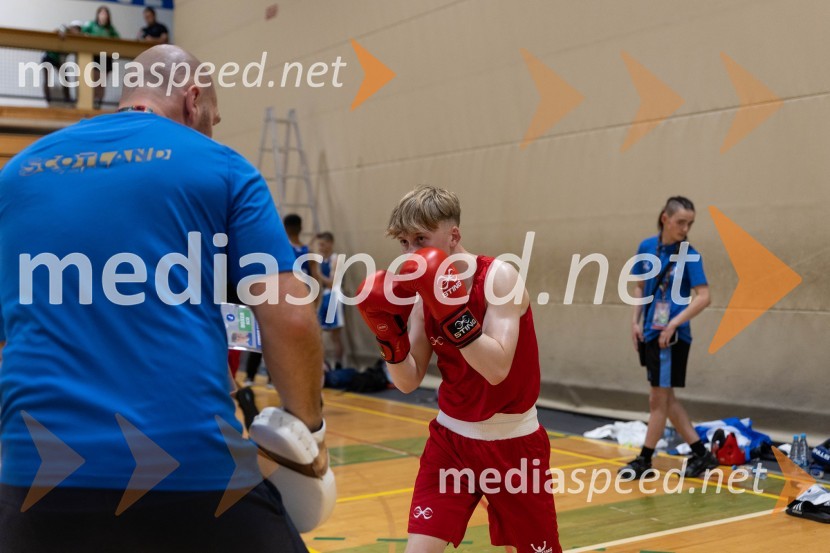 20. Evropsko prvenstvo v boksu za mlajše, sobota