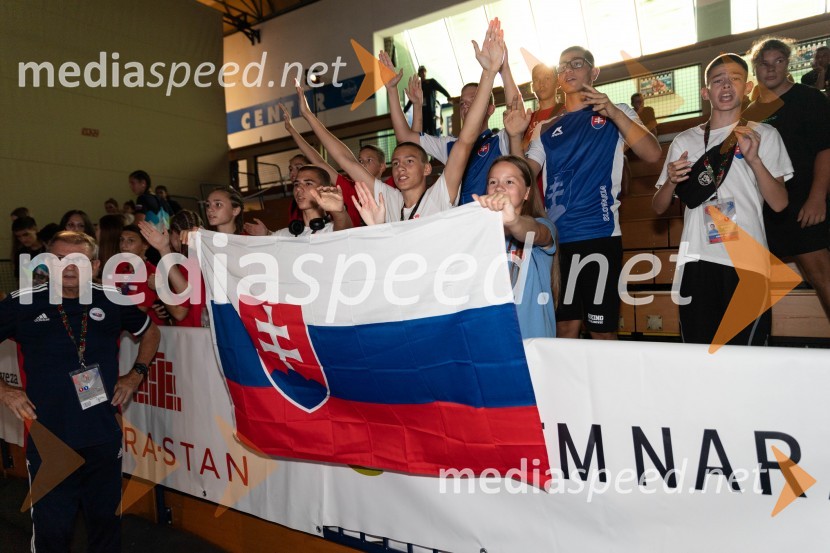 20. Evropsko prvenstvo v boksu za mlajše, sobota