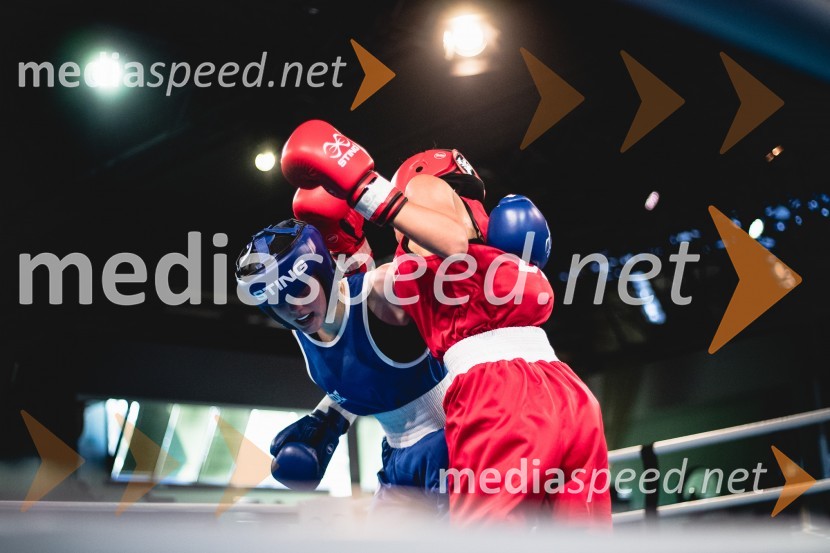 20. Evropsko prvenstvo v boksu za mlajše, nedelja