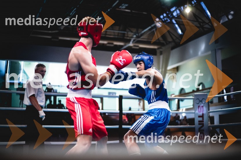 20. Evropsko prvenstvo v boksu za mlajše, nedelja