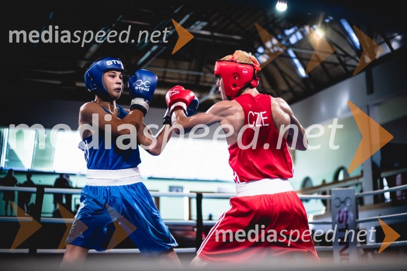 20. Evropsko prvenstvo v boksu za mlajše, nedelja