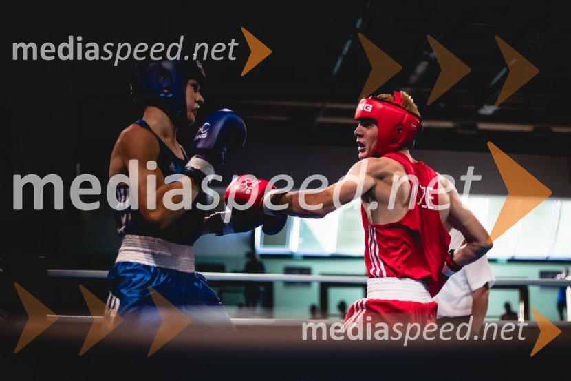 20. Evropsko prvenstvo v boksu za mlajše, nedelja