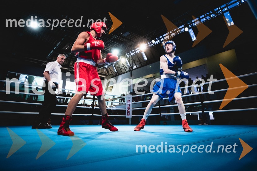 20. Evropsko prvenstvo v boksu za mlajše, nedelja