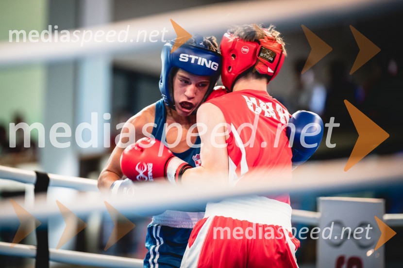 20. Evropsko prvenstvo v boksu za mlajše, nedelja