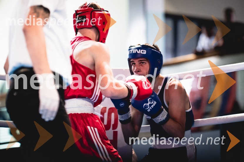 20. Evropsko prvenstvo v boksu za mlajše, nedelja