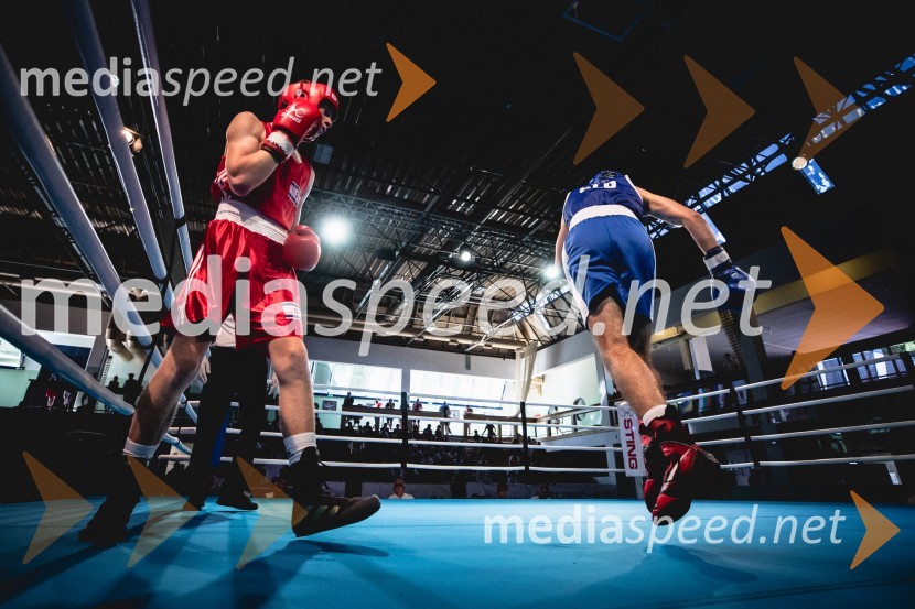 20. Evropsko prvenstvo v boksu za mlajše, nedelja