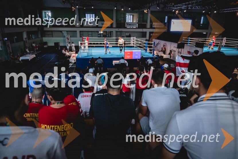 20. Evropsko prvenstvo v boksu za mlajše, petek