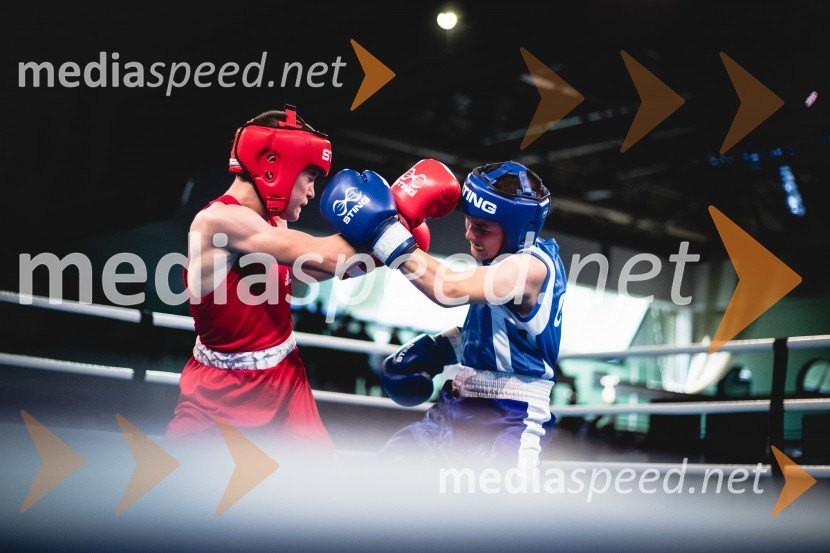 V Mariboru se nadaljuje evropsko prvenstvo v boksu za mlajše