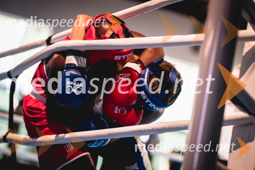 V Mariboru se nadaljuje evropsko prvenstvo v boksu za mlajše