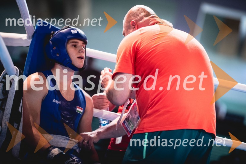 V Mariboru se nadaljuje evropsko prvenstvo v boksu za mlajše