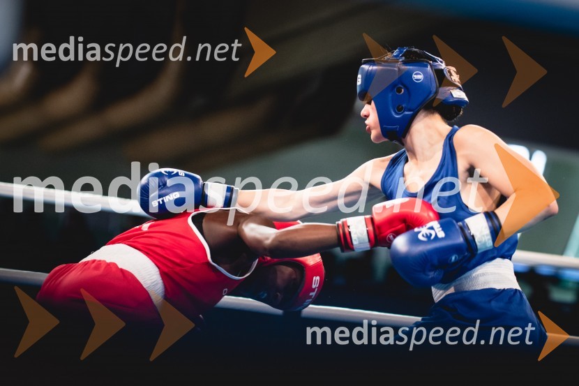 V Mariboru se nadaljuje evropsko prvenstvo v boksu za mlajše