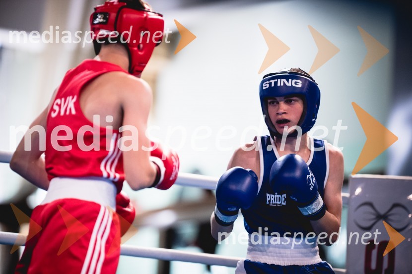 V Mariboru se nadaljuje evropsko prvenstvo v boksu za mlajše