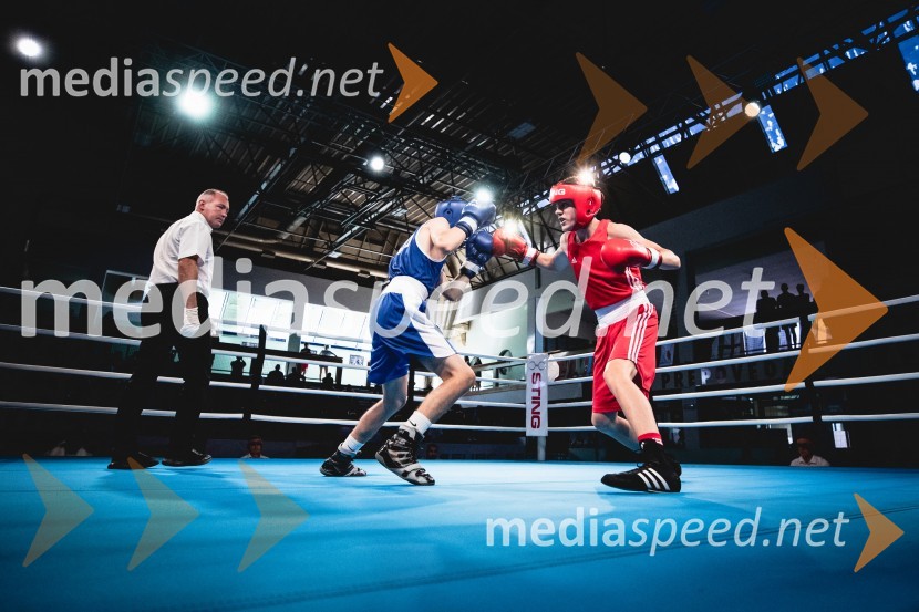 V Mariboru se nadaljuje evropsko prvenstvo v boksu za mlajše