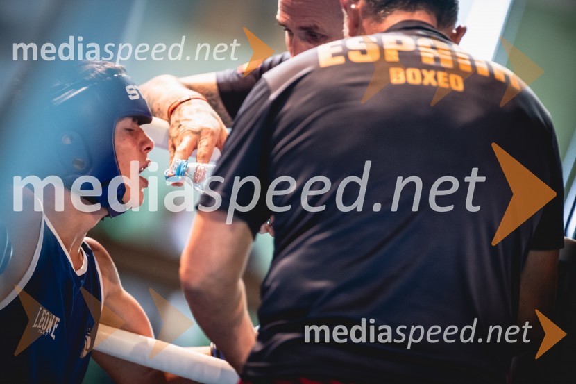 20. Evropsko prvenstvo v boksu za mlajše, torek