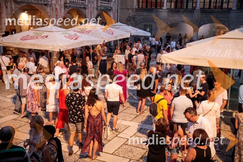 Sodobni pop-rock muzikal Povodni mož ponovno na Ljubljana Festivalu