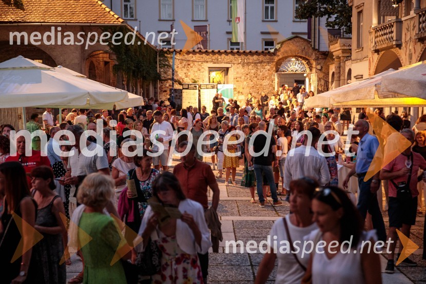 Sodobni pop-rock muzikal Povodni mož ponovno na Ljubljana Festivalu