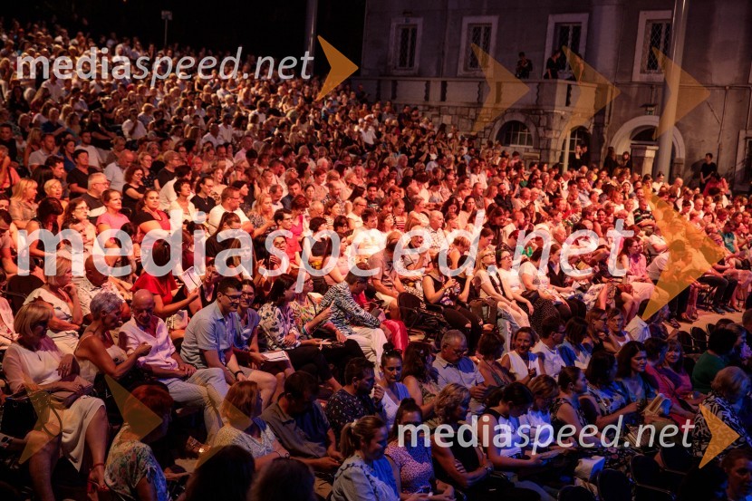 Sodobni pop-rock muzikal Povodni mož ponovno na Ljubljana Festivalu