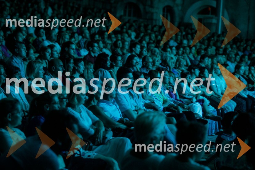 Sodobni pop-rock muzikal Povodni mož ponovno na Ljubljana Festivalu