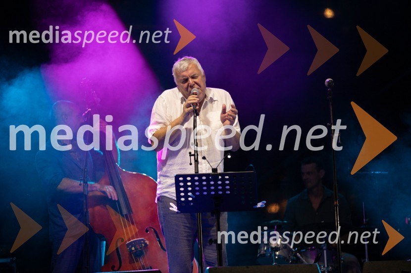  Zoran Predin, glasbenik35. Mednarodni festival Noči v stari Ljubljani