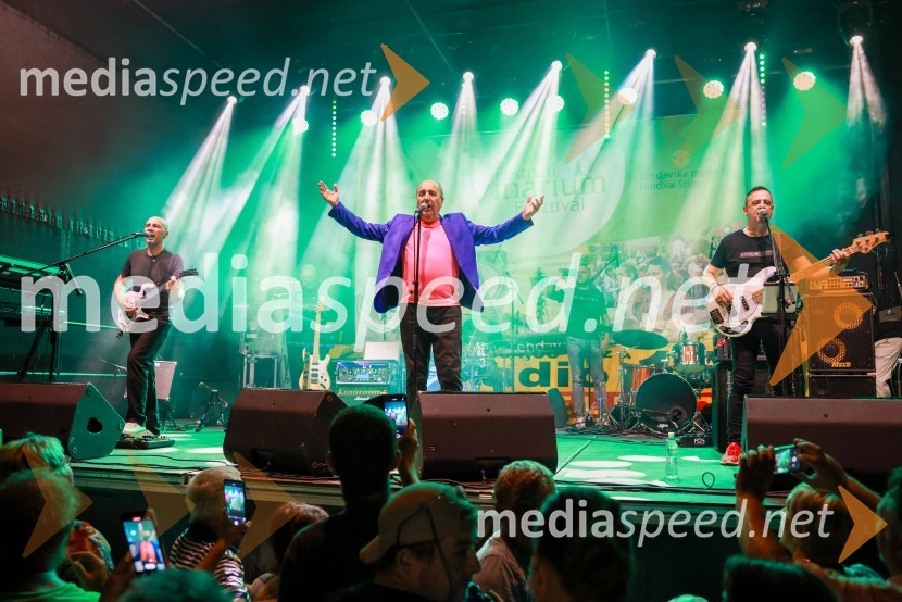  Mladen  Grdović, glasbenikBogračfest 2023