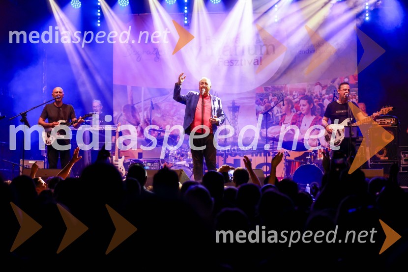  Mladen  Grdović, glasbenikBogračfest 2023