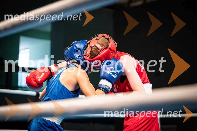 Zaključilo se je 20. Evropsko prvenstvo v boksu za mlajše