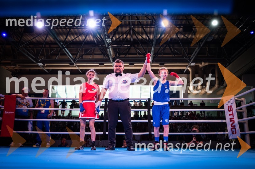 Zaključilo se je 20. Evropsko prvenstvo v boksu za mlajše