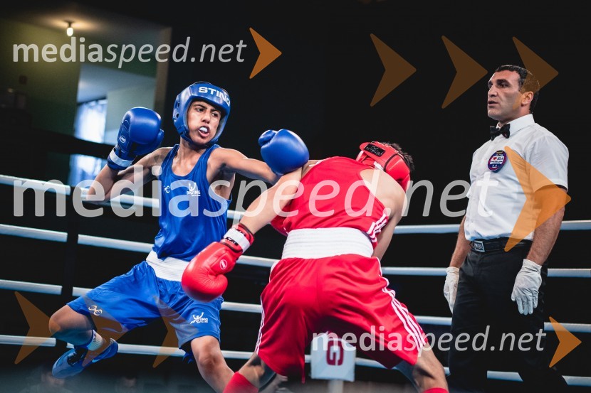 Zaključilo se je 20. Evropsko prvenstvo v boksu za mlajše