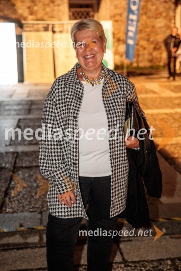 Koncert Uroša Perića ob spremljavi Big Banda RTV Slovenija, 71. Ljubljana Festival