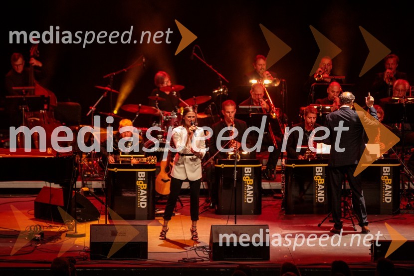 Koncert Uroša Perića ob spremljavi Big Banda RTV Slovenija, 71. Ljubljana Festival