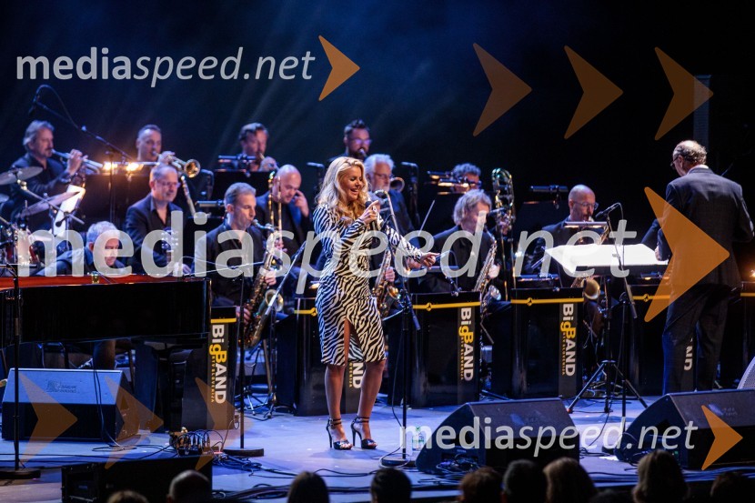 Koncert Uroša Perića ob spremljavi Big Banda RTV Slovenija, 71. Ljubljana Festival