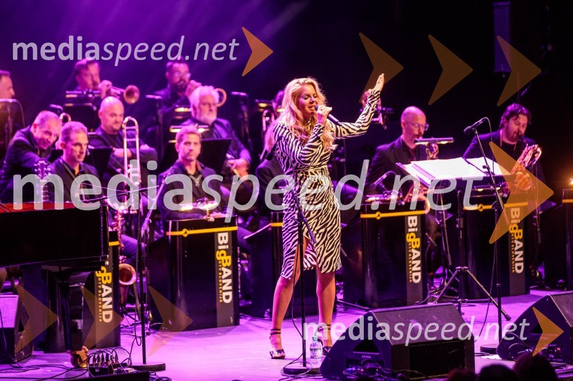 Koncert Uroša Perića ob spremljavi Big Banda RTV Slovenija, 71. Ljubljana Festival