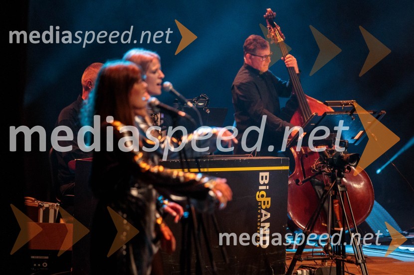 Koncert Uroša Perića ob spremljavi Big Banda RTV Slovenija, 71. Ljubljana Festival