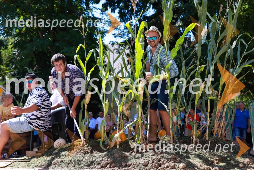 44. Lendavska trgatev