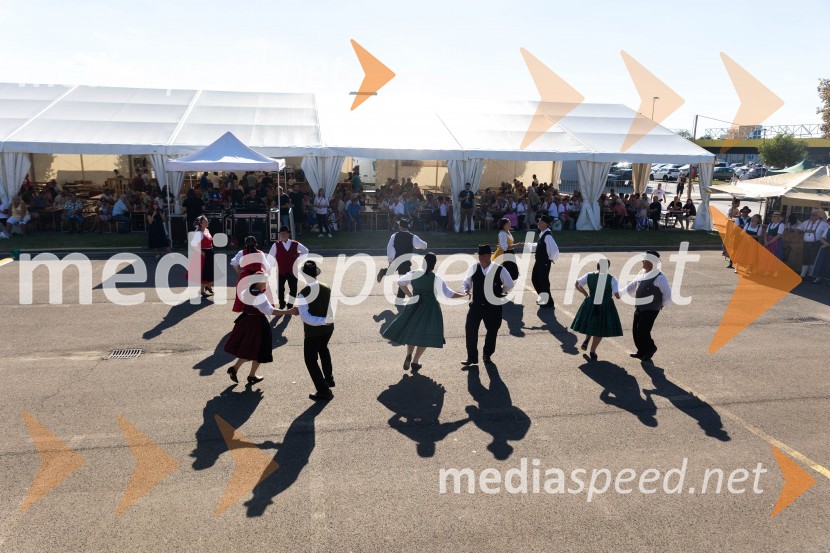 44. Lendavska trgatev