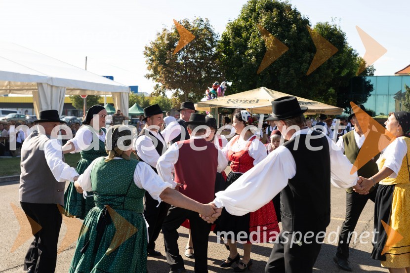 44. Lendavska trgatev