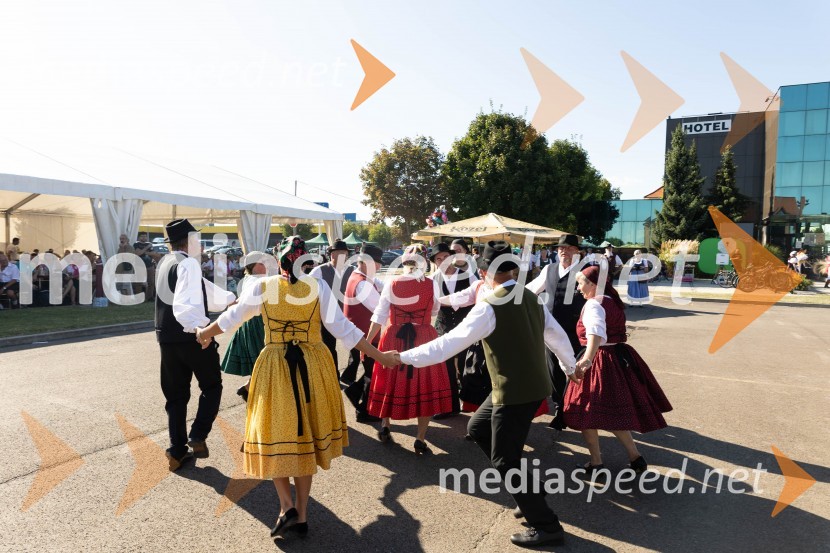 44. Lendavska trgatev