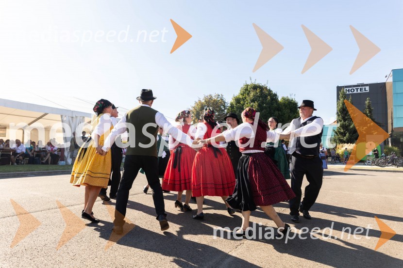 44. Lendavska trgatev