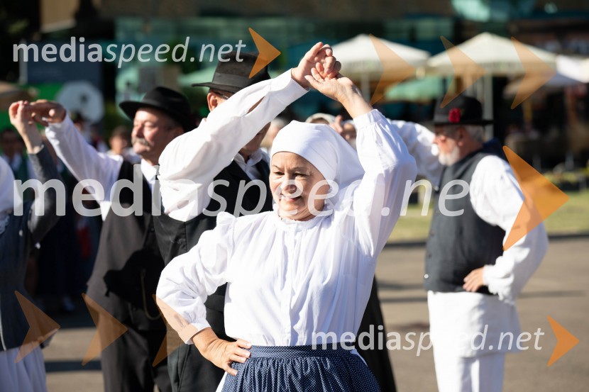 44. Lendavska trgatev