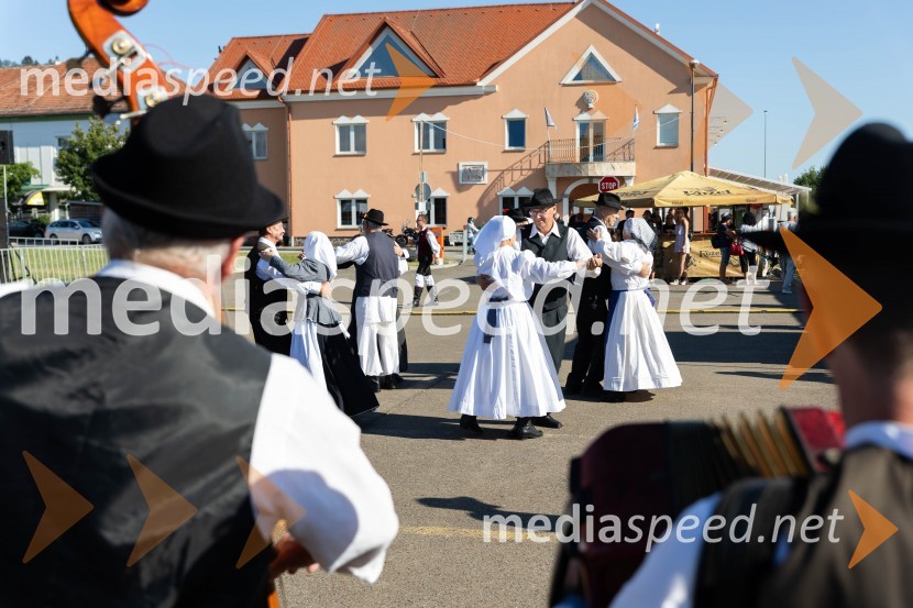 44. Lendavska trgatev