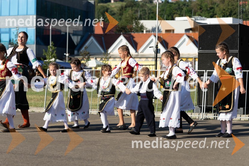 44. Lendavska trgatev