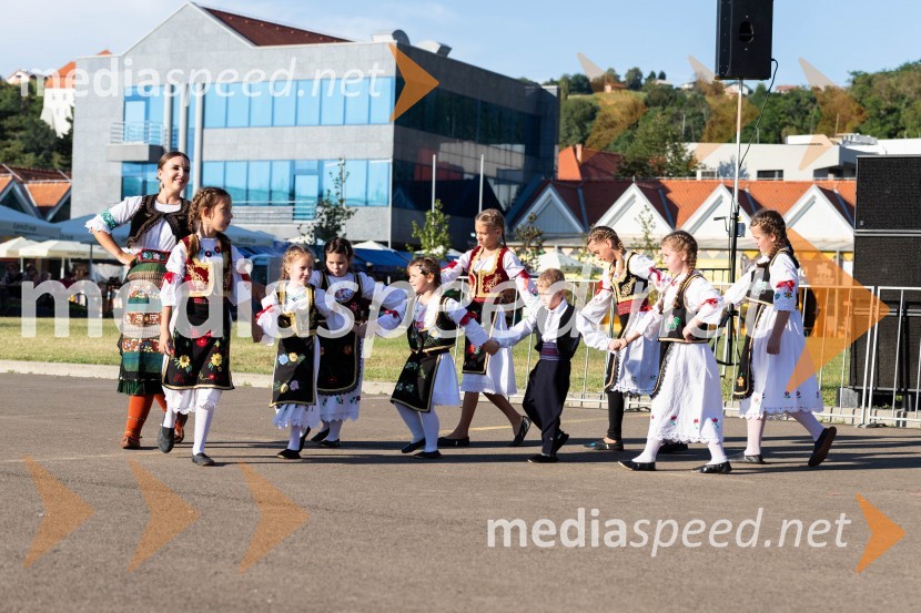 44. Lendavska trgatev