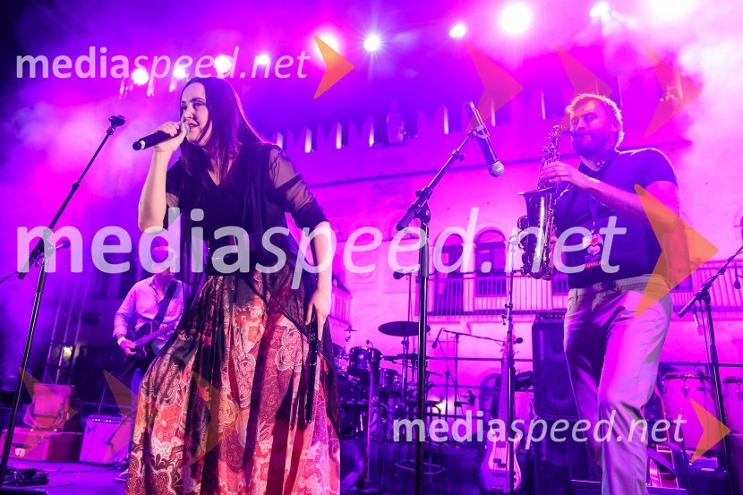 Veliki humanitarni koncert Istra za Slovenijo