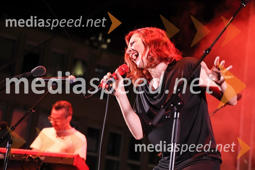 Veliki humanitarni koncert Istra za Slovenijo