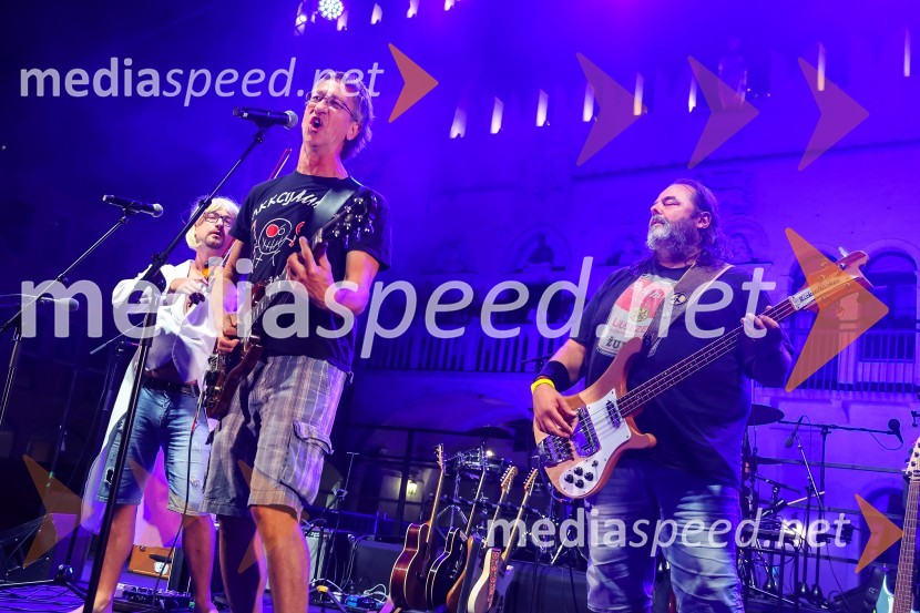 Veliki humanitarni koncert Istra za Slovenijo