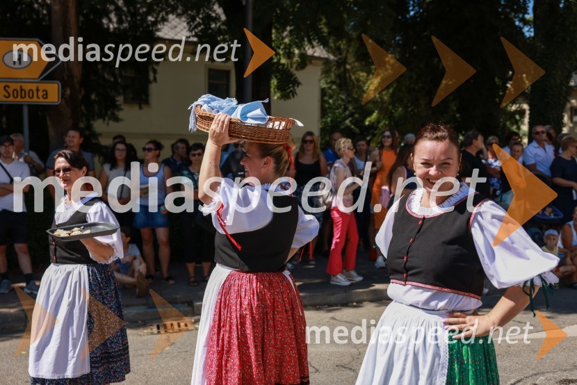 44. Lendavska trgatev