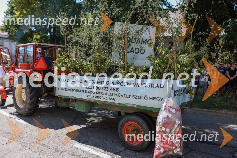 44. Lendavska trgatev